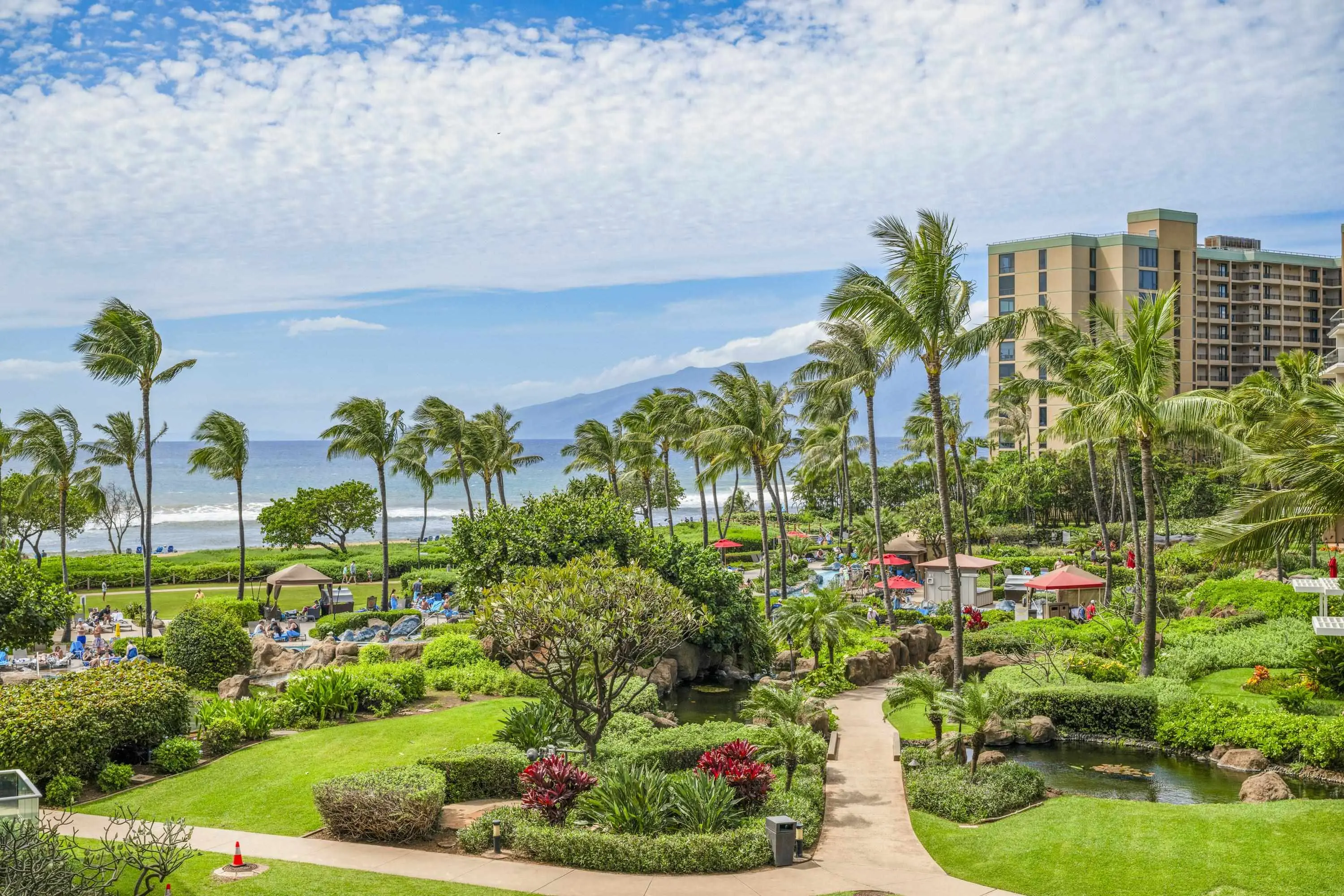 Photo of Listing #409151