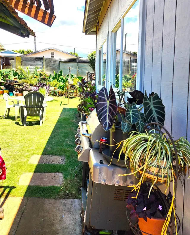 Listing Image for 916 Maile St 19 of 37