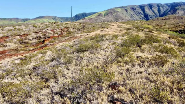 Listing Image for 0 Punakea Loop B 39 of 44