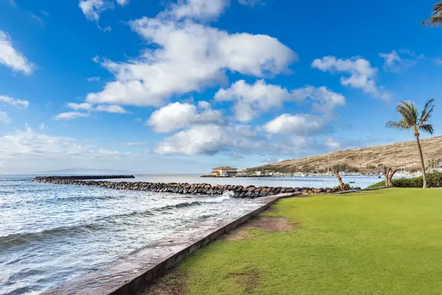 Listing Image for 50 Hauoli St 401 30 of 31
