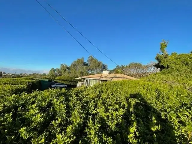 Listing Image for 3135 Lower Kula Rd 8 of 30