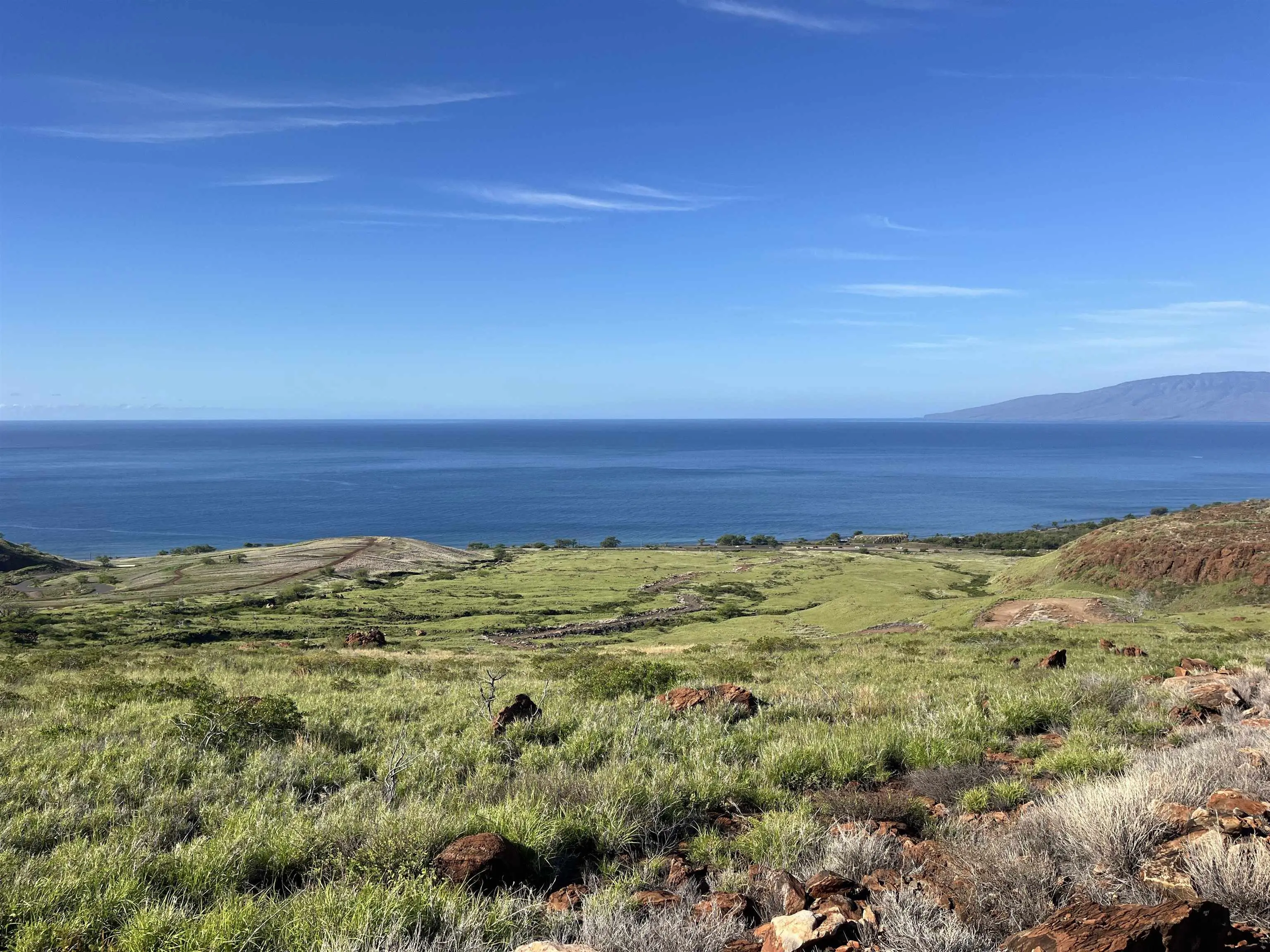 Photo of Listing #405732