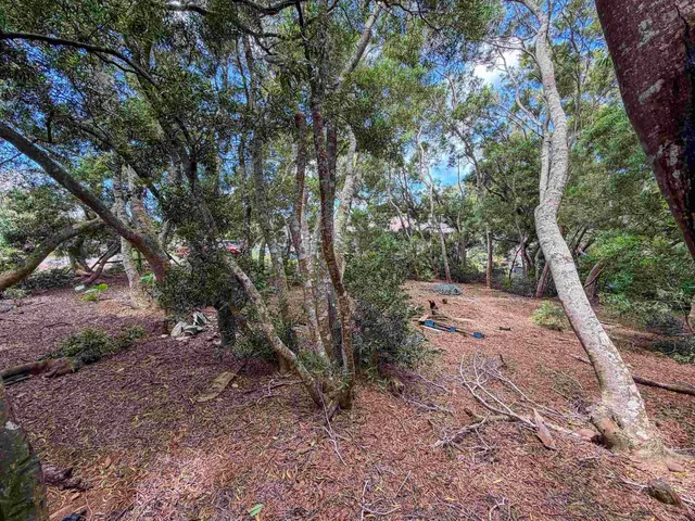 Listing Image for 36 Koala Way 10 of 13