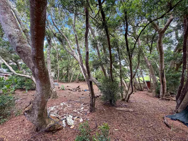 Listing Image for 36 Koala Way 11 of 13