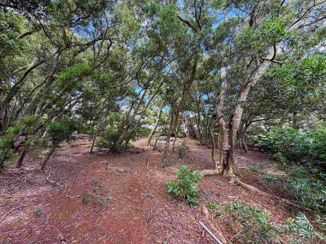 Listing Image for 36 Koala Way 12 of 13