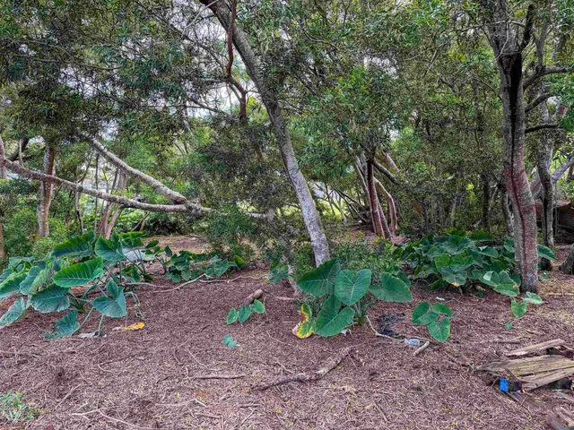 Listing Image for 36 Koala Way 13 of 13