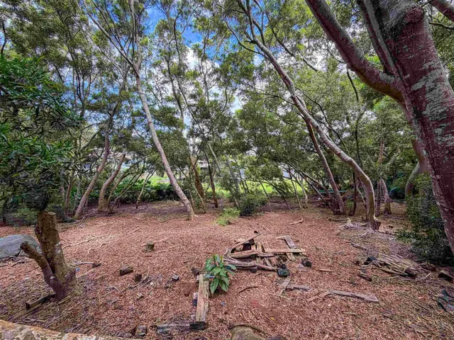 Listing Image for 36 Koala Way 2 of 13