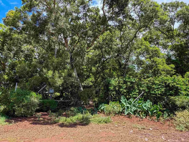 Listing Image for 36 Koala Way 3 of 13