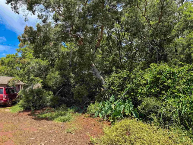 Listing Image for 36 Koala Way 4 of 13