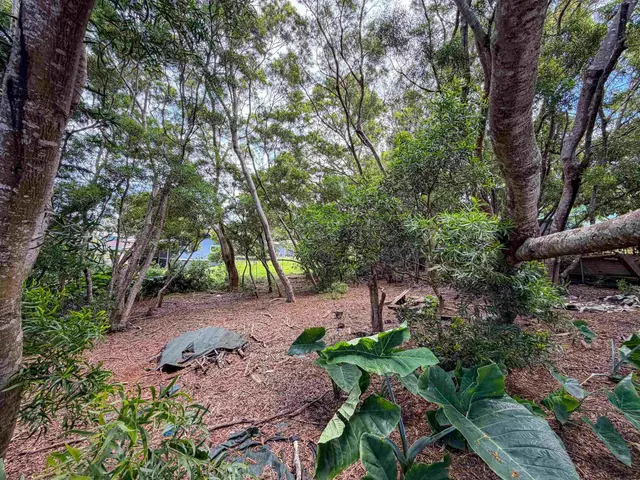 Listing Image for 36 Koala Way 5 of 13