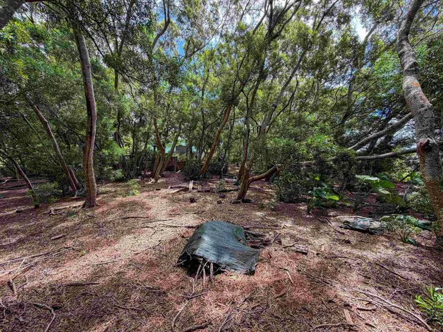 Listing Image for 36 Koala Way 6 of 13