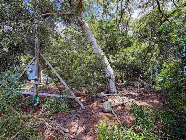 Listing Image for 36 Koala Way 7 of 13