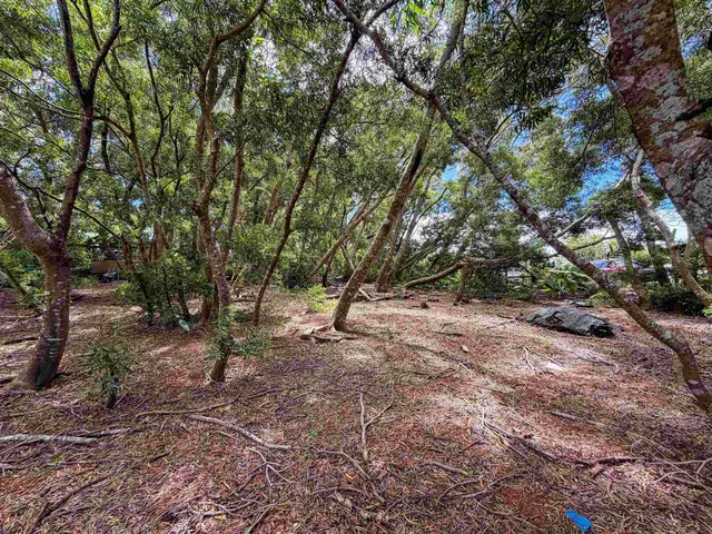 Listing Image for 36 Koala Way 8 of 13