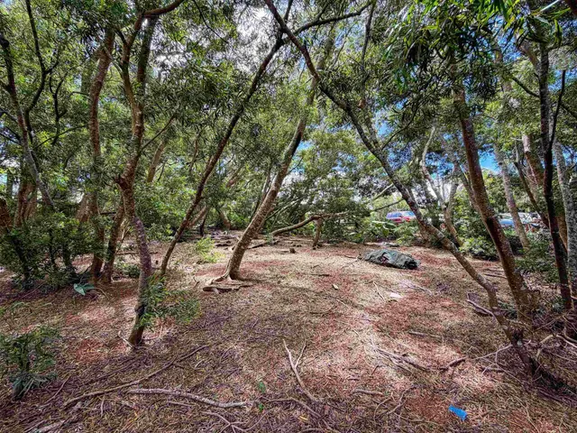 Listing Image for 36 Koala Way 9 of 13