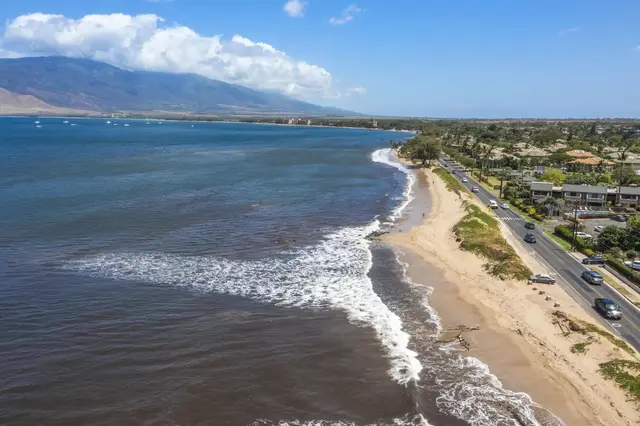Listing Image for 480 Kenolio Rd 24-202 47 of 47