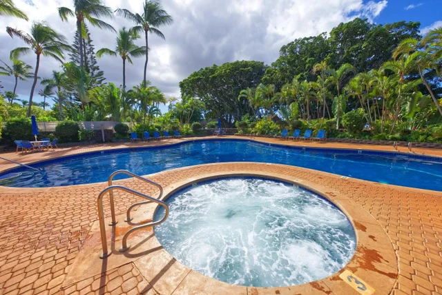 Listing Image for 50 Kepuhi Pl 242 19 of 29