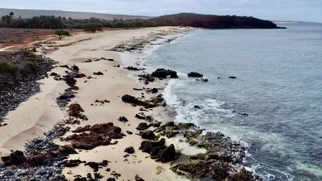 Listing Image for 50 Kepuhi Pl 242 21 of 29