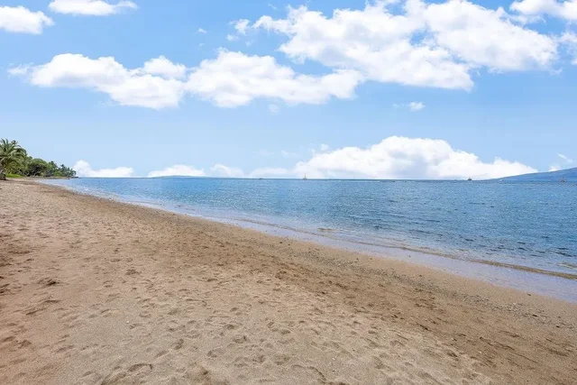 Listing Image for 475 Front St Ph 4 3 of 38