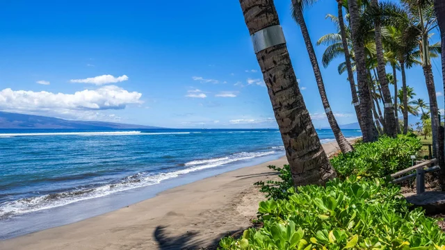 Listing Image for 475 Front St Ph 4 35 of 38