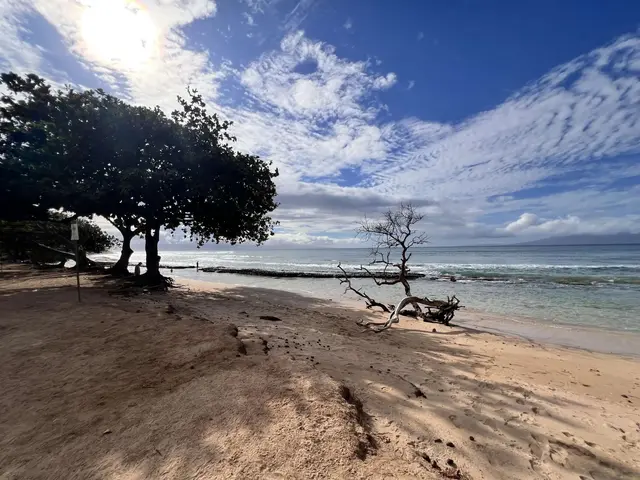 Listing Image for 3676 Lower Honoapiilani Rd D301 2 of 26