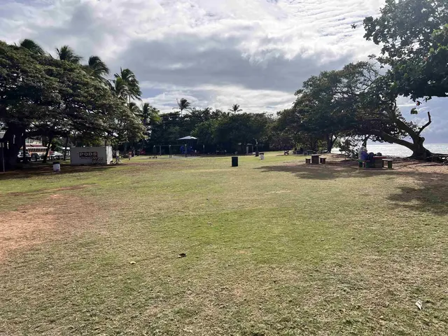 Listing Image for 3676 Lower Honoapiilani Rd D301 25 of 26