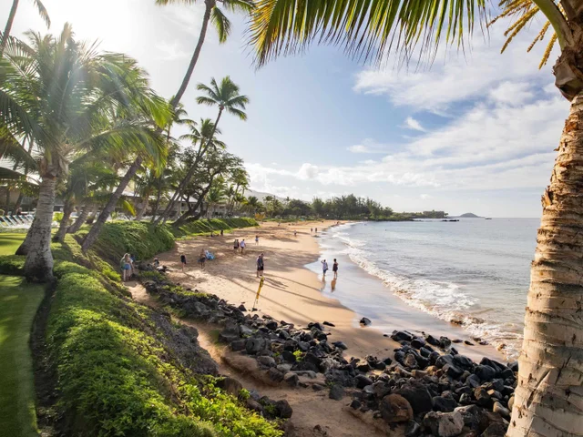 Listing Image for 2450 S Kihei Rd 305 41 of 45