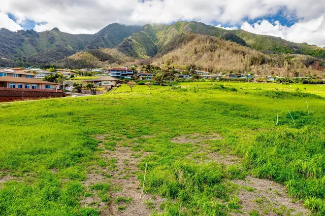 Listing Image for 508 Kauna Lipo Dr Lot 39 9 of 20
