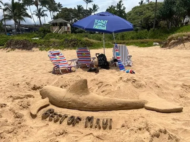 Listing Image for 2575 S Kihei Rd P 203 34 of 37