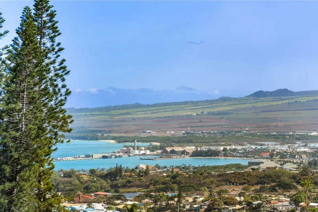 Listing Image for 2673 Kamaile St 47 of 50