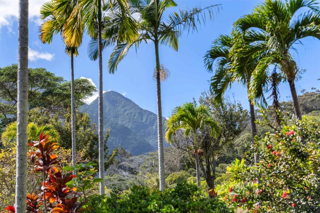 Listing Image for 2673 Kamaile St 48 of 50