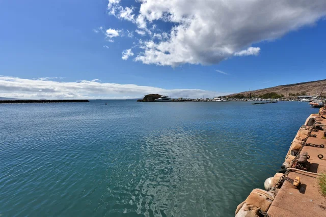 Listing Image for 20 Hauoli St 305 12 of 29