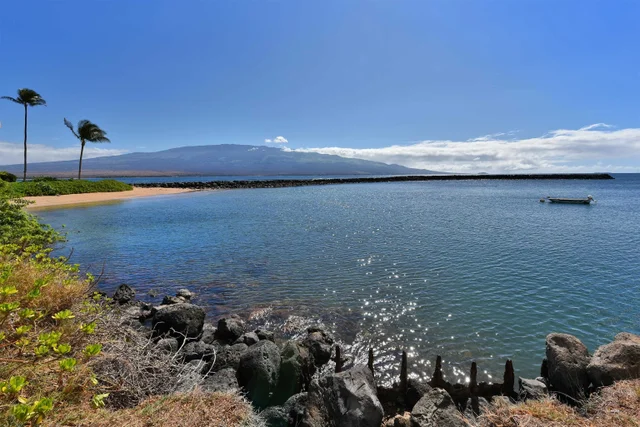 Listing Image for 20 Hauoli St 305 13 of 29