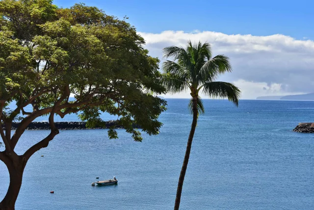 Listing Image for 20 Hauoli St 305 14 of 29