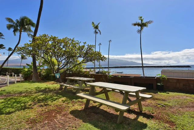 Listing Image for 20 Hauoli St 305 18 of 29