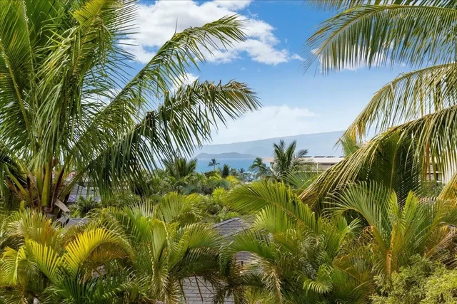Listing Image for 30 Laukahi St 4 of 45