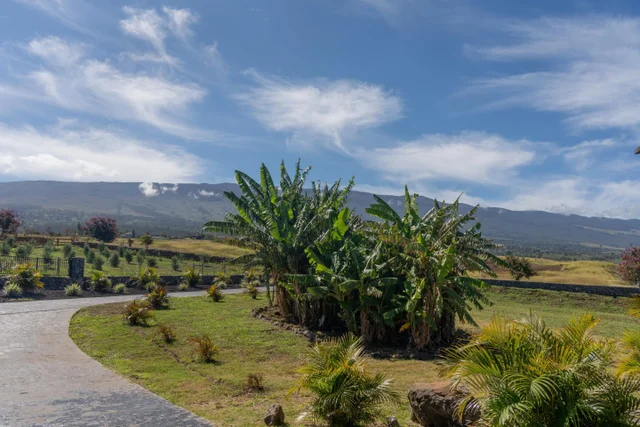 Listing Image for 272 Huahua St 32 of 43