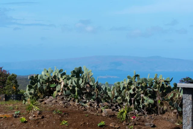 Listing Image for 272 Huahua St 33 of 43