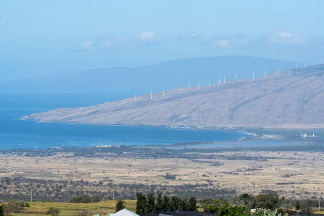 Listing Image for 272 Huahua St 34 of 43