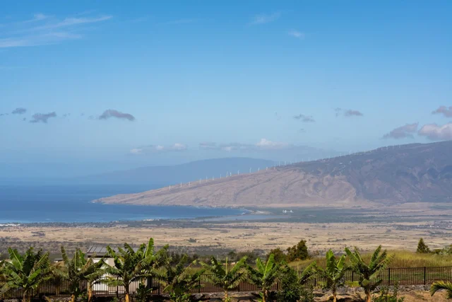 Listing Image for 272 Huahua St 35 of 43