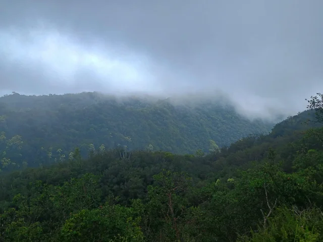 Listing Image for 40811 Hana Hwy Hwy 3 of 6