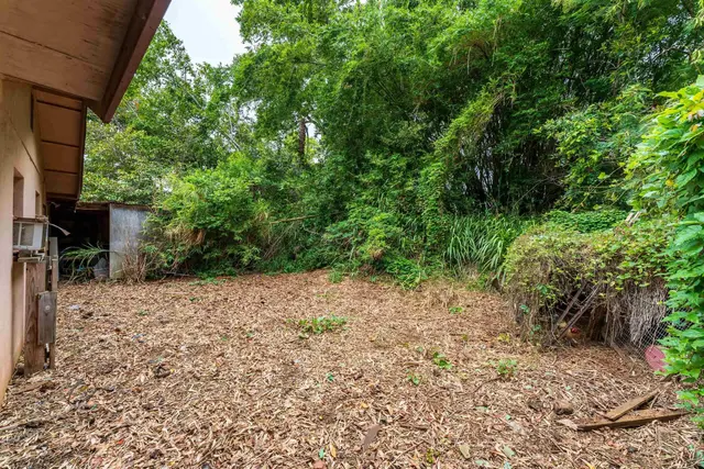 Listing Image for 2895 Hana Hwy 32 of 32