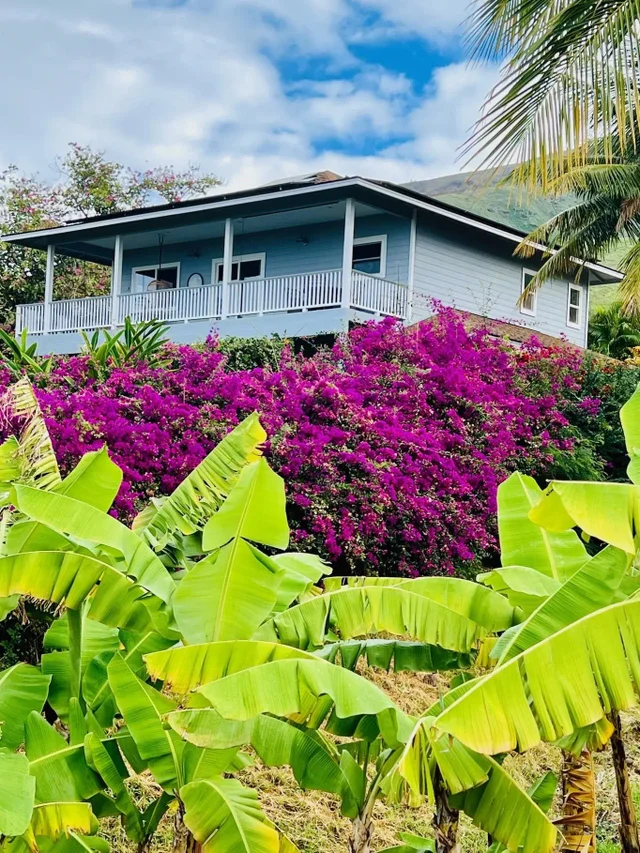 Listing Image for 750 Kai Hele Ku St B 6 of 50