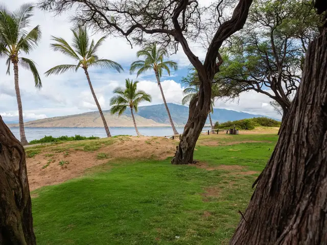 Listing Image for 38 Kai Makani Loop 38-102 18 of 22