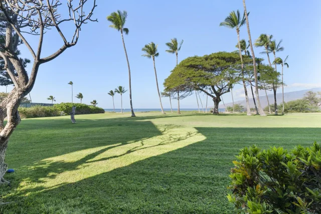 Listing Image for 1002 S Kihei Rd 114 38 of 50