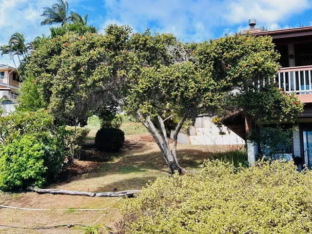Listing Image for 680 Noweo Pl 7 of 49