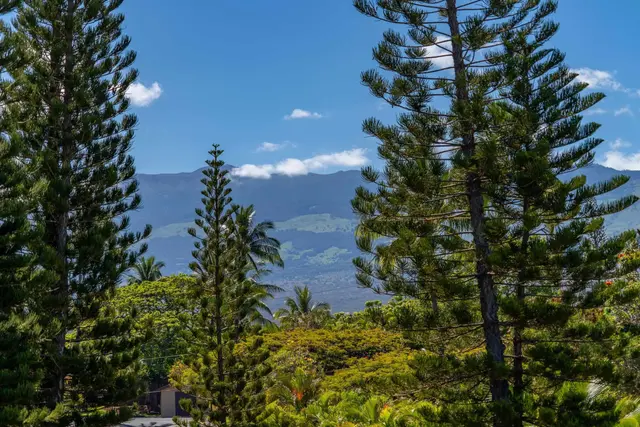 Listing Image for 185 Auhana Rd Unit A 28 of 28
