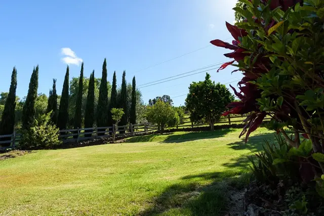 Listing Image for 53 Maukanani St 24 of 40