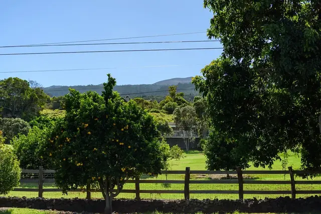 Listing Image for 53 Maukanani St 25 of 40