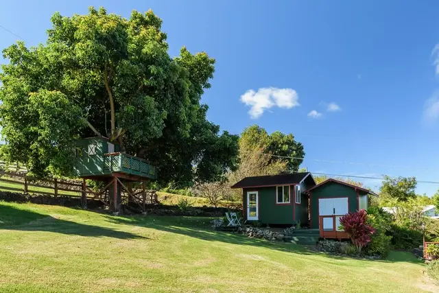 Listing Image for 53 Maukanani St 27 of 40