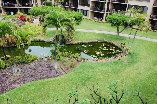Listing Image for 3543 Lower Honoapiilani Rd C-407 27 of 37